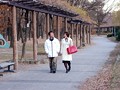 「人妻不倫巡り旅 清水・浜松・名古屋編」のサンプル画像