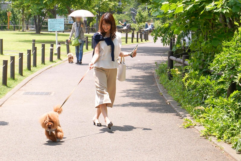 「躾られメス犬覚醒した加藤あやの」のサンプル画像1