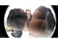 「蒸れ蒸れブーツパンスト＆唾液亀頭責め」のサンプル画像2