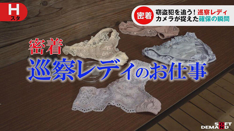 「巡察レディのお仕事～女湯更衣室パンティ窃盗少年更生精子回収編～」のサンプル画像1