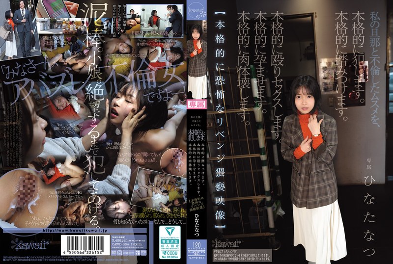 「ひなたなつは不倫相手の妻に恨まれ踏み躙られ輪姦され孕まされる」のパッケージ画像